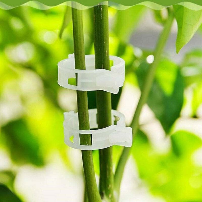 SALE 49% OFF - Plant Support Clips