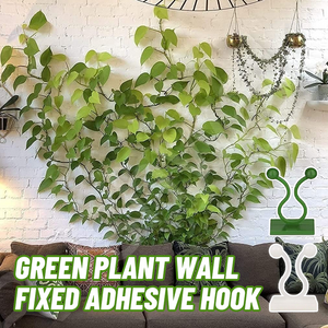 Green Plant Wall Fixed Adhesive Hook