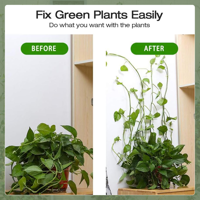 Green Plant Wall Fixed Adhesive Hook