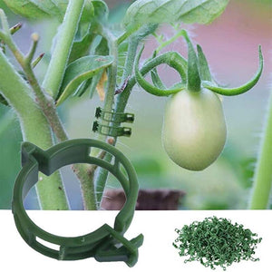SALE 49% OFF - Plant Support Clips
