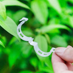Load image into Gallery viewer, SALE 49% OFF - Plant Support Clips
