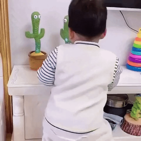 The Funny Dancing Cactus Toy
