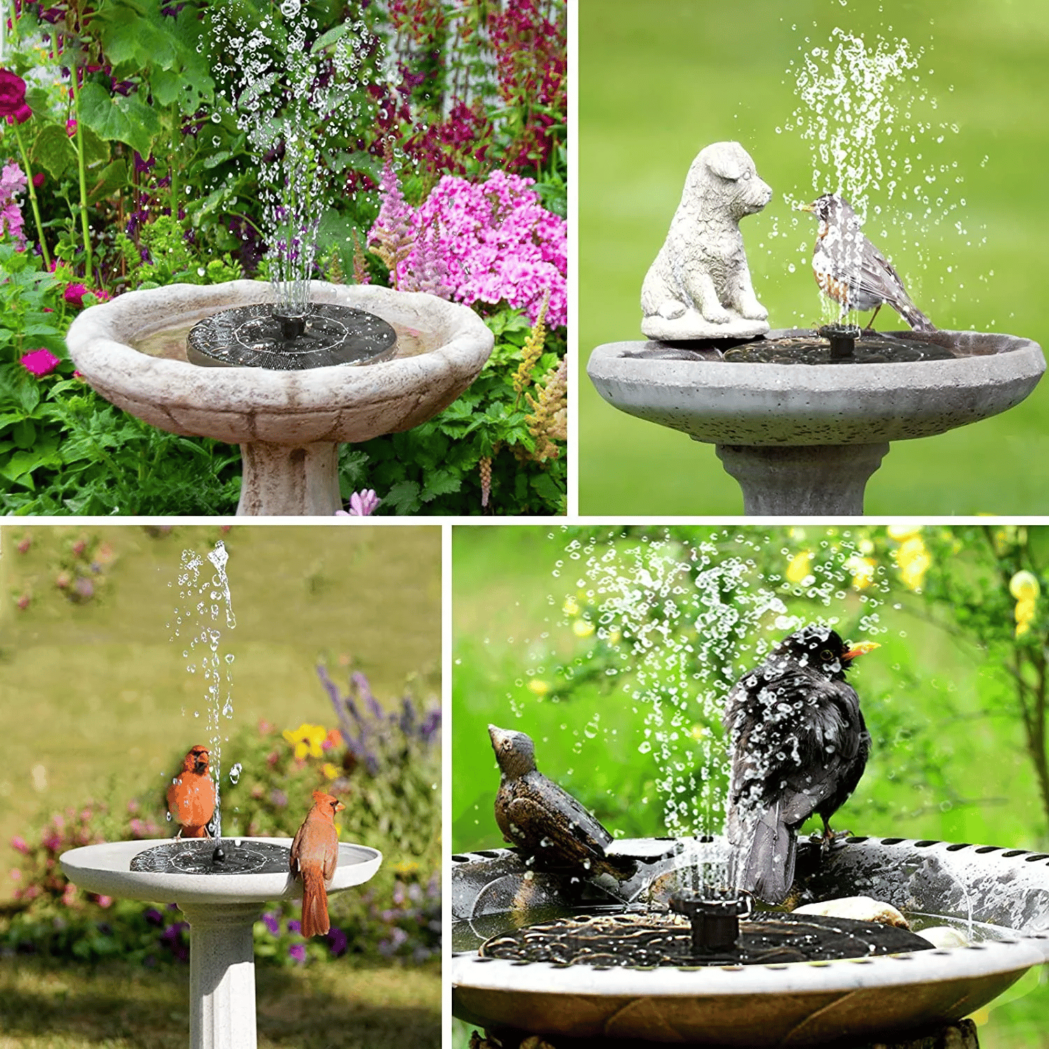 🔥Last Day 49% OFF🎉Solar-Powered Bird Fountain Kit🐦️